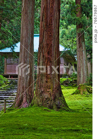 白山平泉寺ー苔寺 76679867