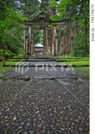 白山平泉寺ー苔寺 76679870