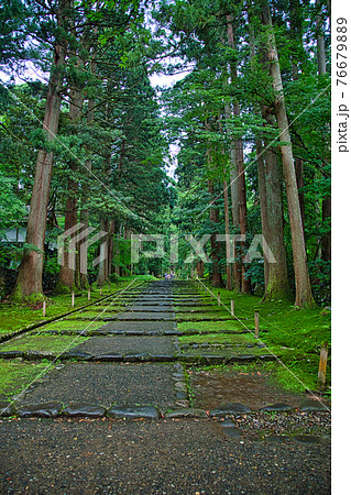 白山平泉寺ー苔寺 76679889