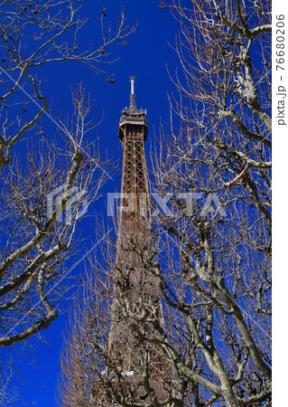 フランス・パリ、シャンドマルス公園から見た改修中のエッフェル塔、2021年3月6日撮影。 76680206