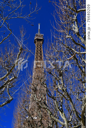 フランス・パリ、シャンドマルス公園から見た改修中のエッフェル塔、2021年3月6日撮影。 フランス・パリ、シャンドマルス公園から見た改修中のエッフェル塔、2021年3月6日撮影。 76680209