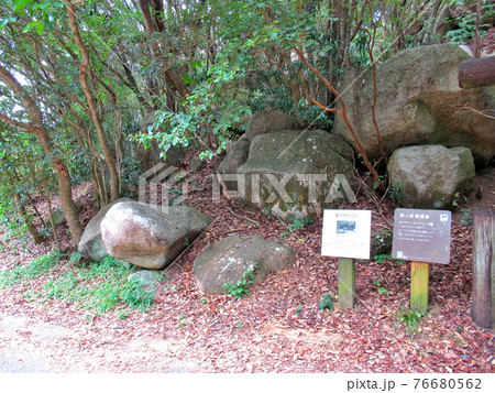足摺半島・足摺岬・パワースポットと言われる遺跡、唐人駄場の入口付近の眺め・土佐清水市(5) 76680562