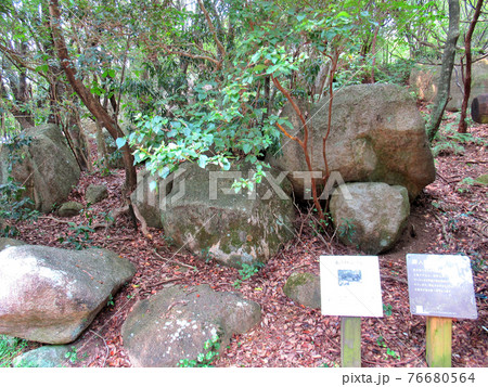 足摺半島・足摺岬・パワースポットと言われる遺跡、唐人駄場の入口付近の眺め・土佐清水市(7) 76680564