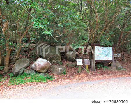足摺半島・足摺岬・パワースポットと言われる遺跡、唐人駄場の入口付近の眺め・土佐清水市(9) 76680566