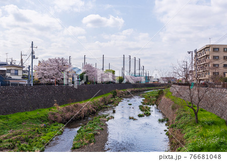 東京散歩、東京都世田谷区、世田谷区鎌田3丁目、野川、吉澤橋 76681048