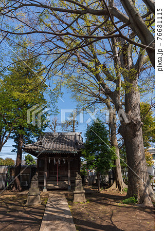 東京散歩、世田谷区、世田谷区瀬田5丁目32、かさ守稲荷神社 76681115