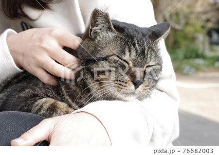 猫を撫でる女性 猫を撫でる女性 76682003
