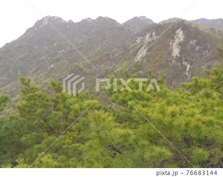 風景 山 森林 76683144