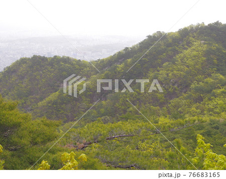 風景 山 森林 76683165