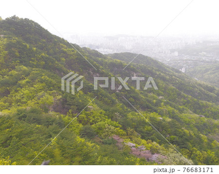 風景 山 森林 76683171