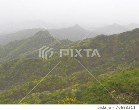 風景 山 森林 76683211
