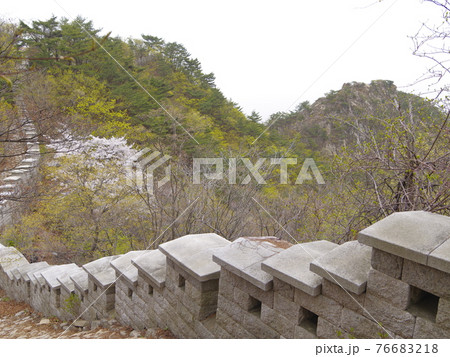 山 樹木 森林 76683218