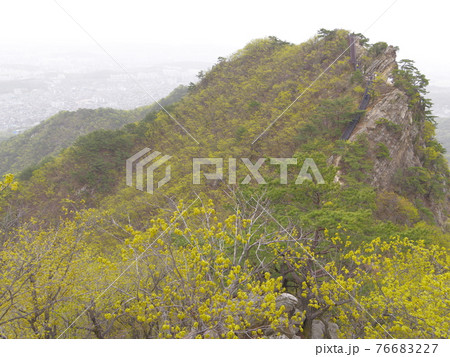 風景 山 森林 76683227