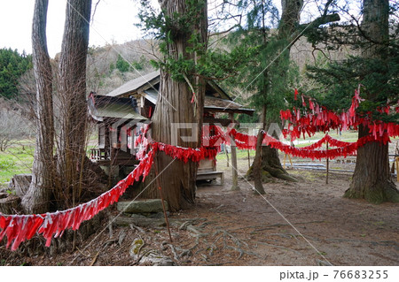 春の遠野 卯子酉(うねとり)神社 春の遠野 卯子酉(うねとり)神社 76683255