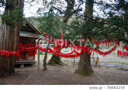 春の遠野　卯子酉（うねとり）神社 76683256