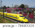 花桃とドクターイエロー 76683320