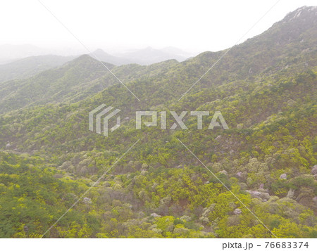 森 森林 山 76683374