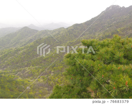 森 森林 山 76683379