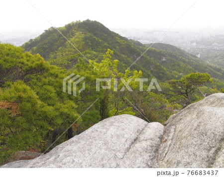 森 森林 山 76683437