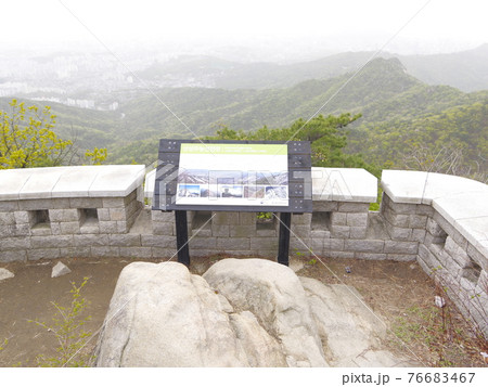 森 森林 風景 76683467