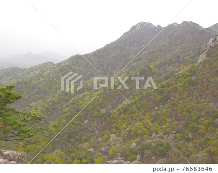 風景 花 山 76683646