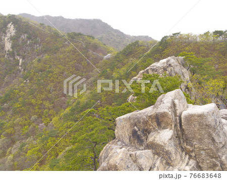 山 石 岩 76683648