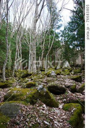 遠野の春　五百羅漢 76683805