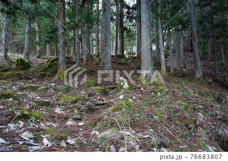 遠野の春　五百羅漢 76683807