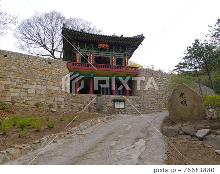 樹木 森林 風景 76683880