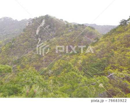 山 森林 風景 76683922
