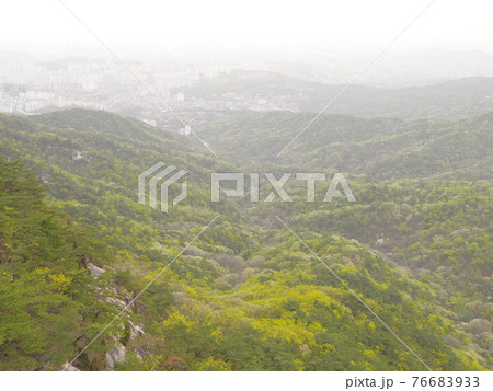 山 森林 風景 76683933