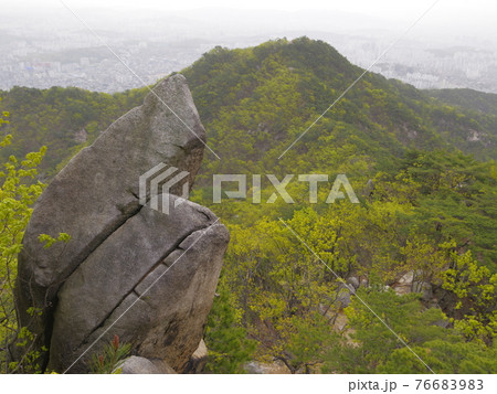 山 森林 風景 76683983