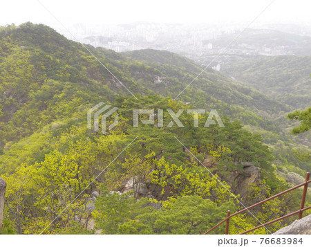 山 森林 風景 76683984