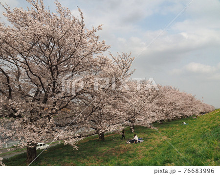 埼玉県戸田市・戸田桜づつみ 76683996