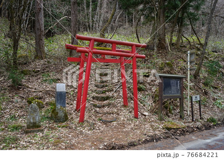 遠野の春　程洞稲荷神社 76684221