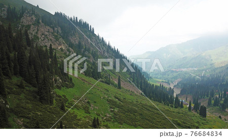Green gorge with forest in the mountains. Green gorge with forest in the mountains. 76684834