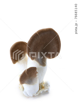 あわび茸 76685140