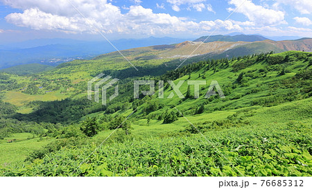 夏の志賀高原緑鮮やかな渋峠から望む白根山・草津  76685312