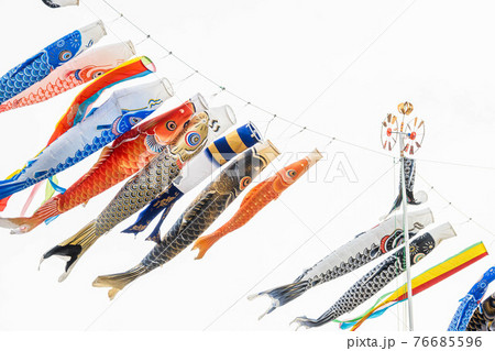 空に翻る鯉のぼり 76685596