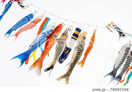 空に翻る鯉のぼり 76685598
