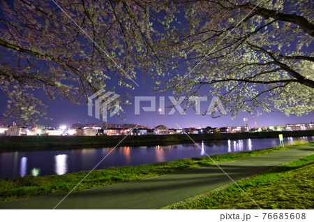 桜が満開な夜の公園 桜が満開な夜の公園 76685608