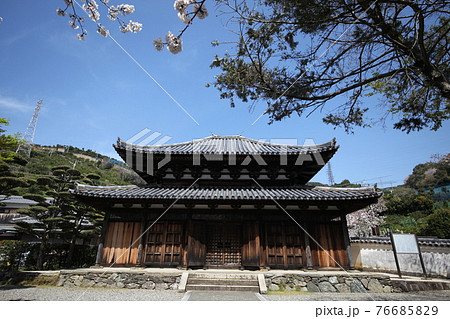 善福院 釈迦堂 善福院 釈迦堂 76685829