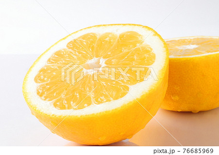 美生柑　河内晩柑 76685969