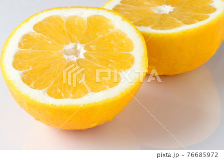 美生柑 河内晩柑 美生柑 河内晩柑 76685972