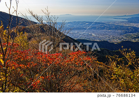 紅葉の丹沢表尾根から見る秦野市街と伊豆大島 76686134