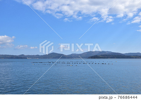 牡蠣の養殖と石巻市牡鹿半島 76686444
