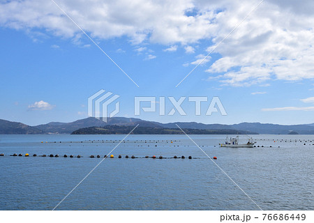 牡蠣の養殖と石巻市牡鹿半島 76686449