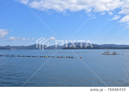 牡蠣の養殖と石巻市牡鹿半島 76686450