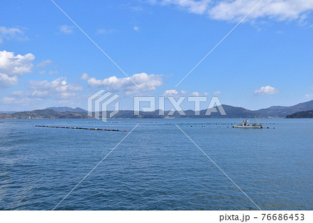 牡蠣の養殖と石巻市牡鹿半島 76686453