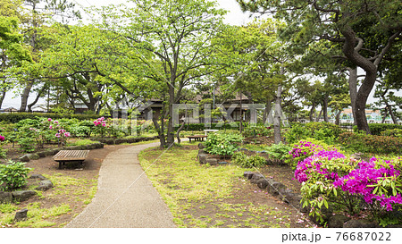 神奈川県横浜市金沢区野島公園にある伊藤博文別邸の春 神奈川県横浜市金沢区野島公園にある伊藤博文別邸の春 76687022